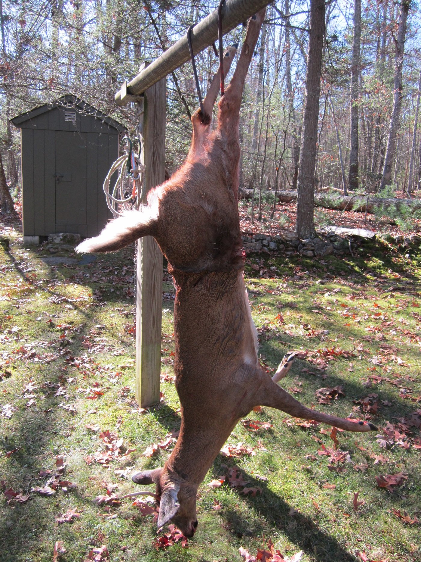 ready to process.JPG