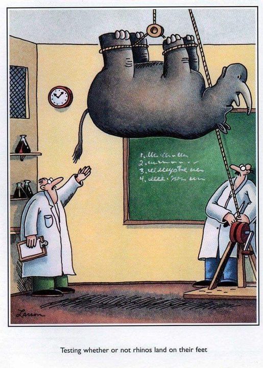 rhinofeet.jpg