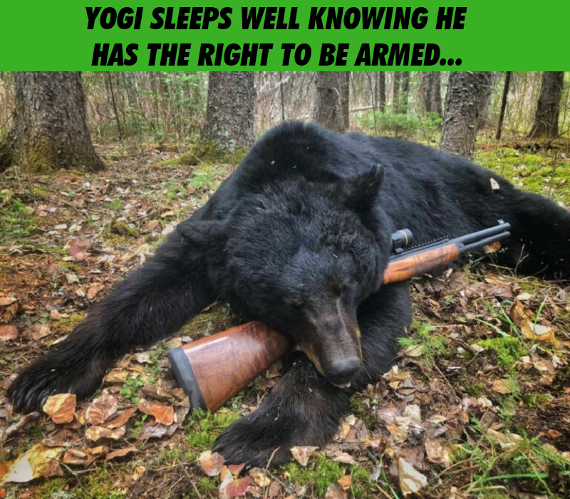 Right to Keep and Arm Bears.png