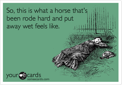 Rode.png