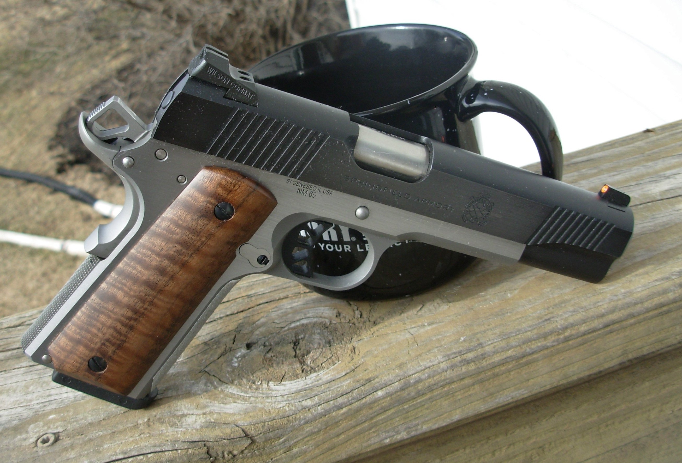 Ronin New Sights 4.JPG