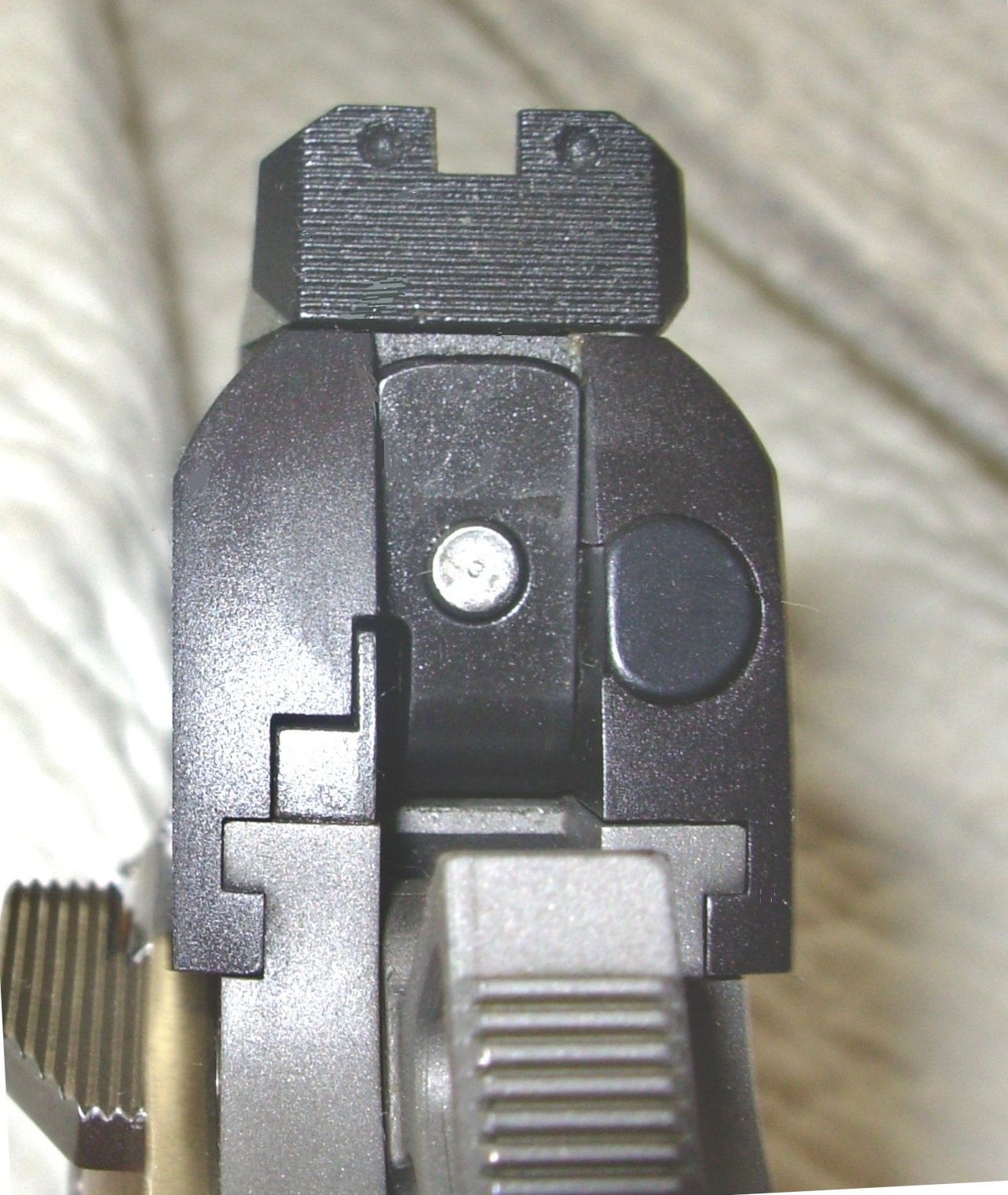 Ronin Rear With Wilson FPS 2.JPG