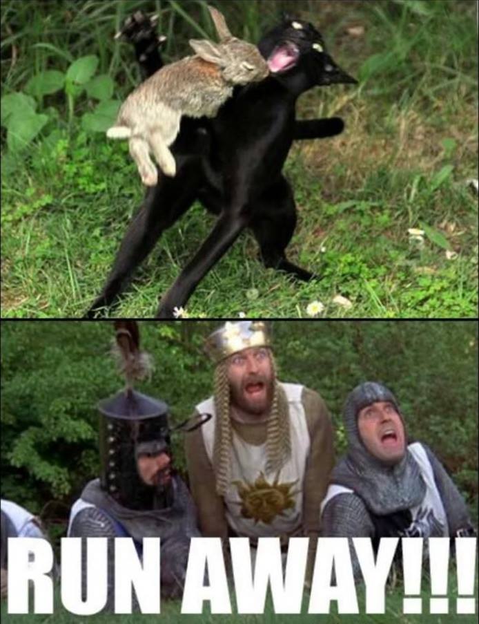 RUNAWAY.jpg