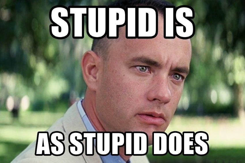 s1200_stupid_is_as_stupid_does-2975924142.jpg