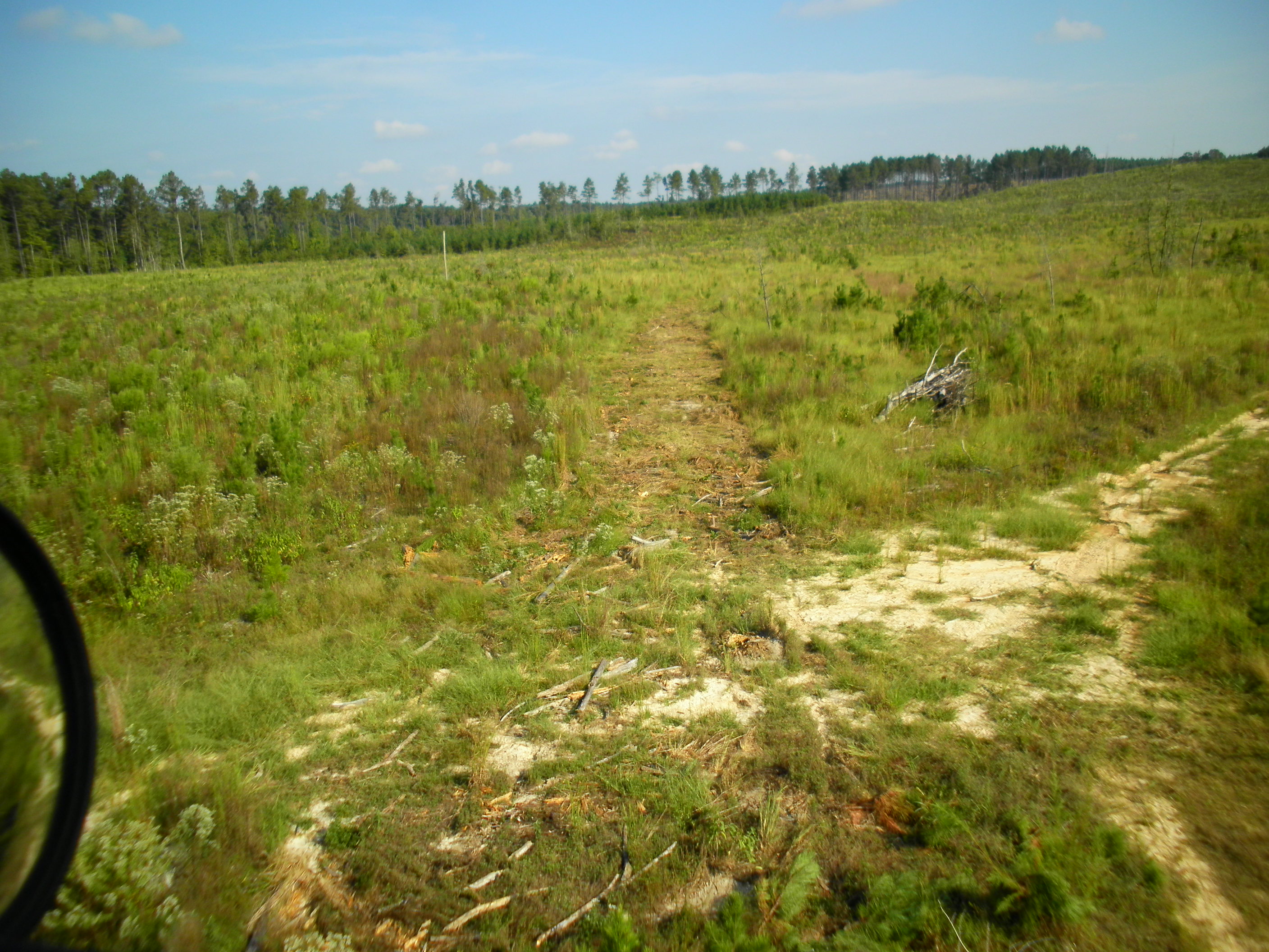 SANY4679.JPG