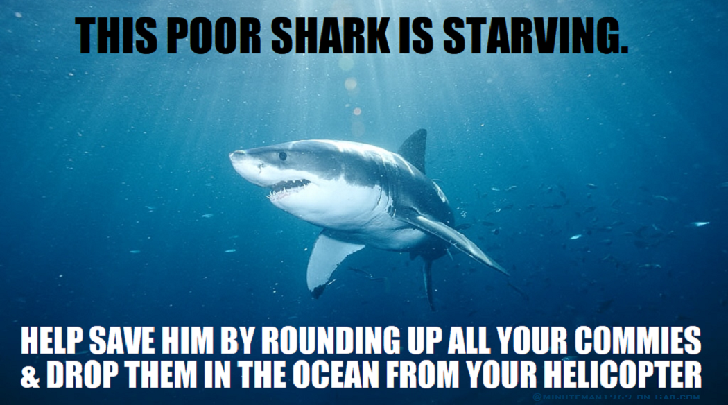 SAVE THE SHARKS 1024x570.png