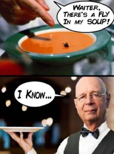 Schwab Fly in Soup.png
