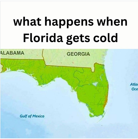 Screenshot-2026-02-06-at-8 (2).webp