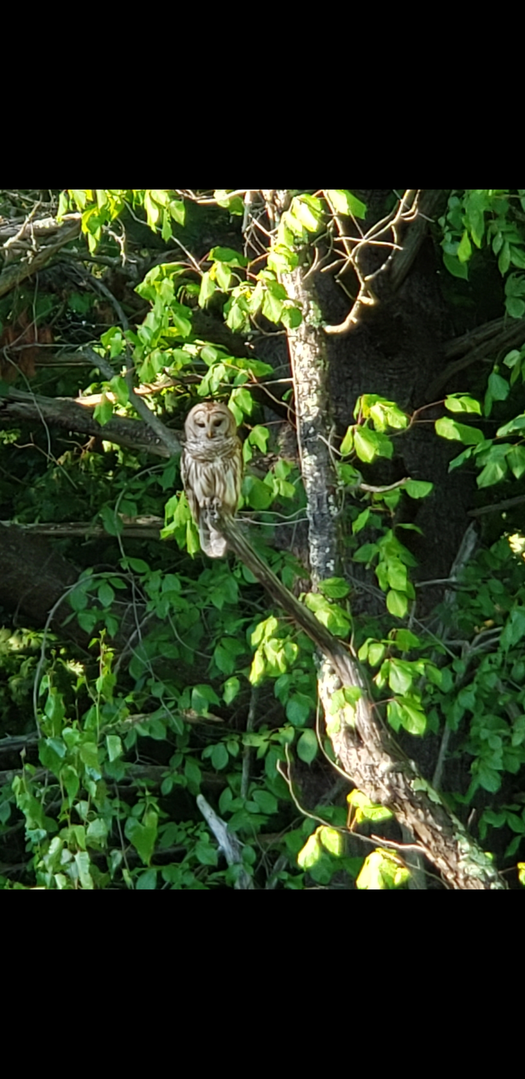 Screenshot_20201130-183043_Photos.jpg