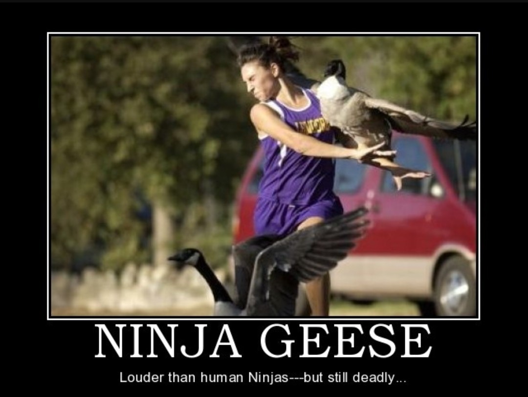 Screenshot_20201215-203745_Firefox.jpg