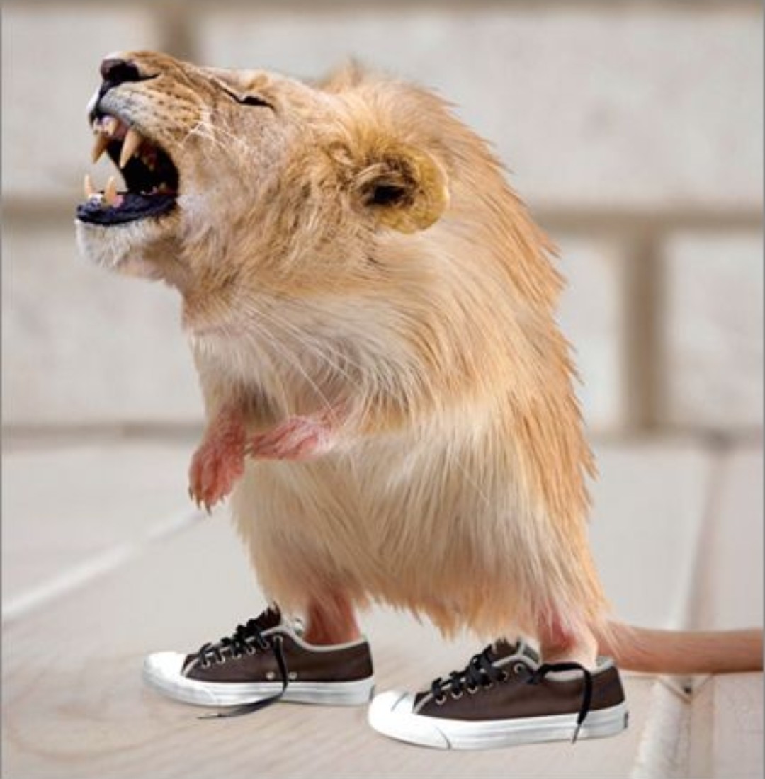 Screenshot_20201218-185917_Firefox.jpg
