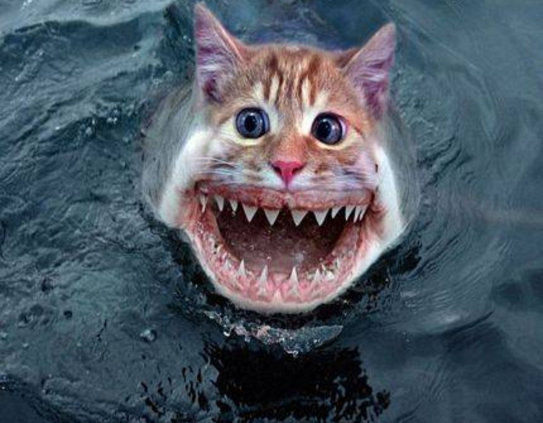 Screenshot_20201218-190006_Firefox.jpg