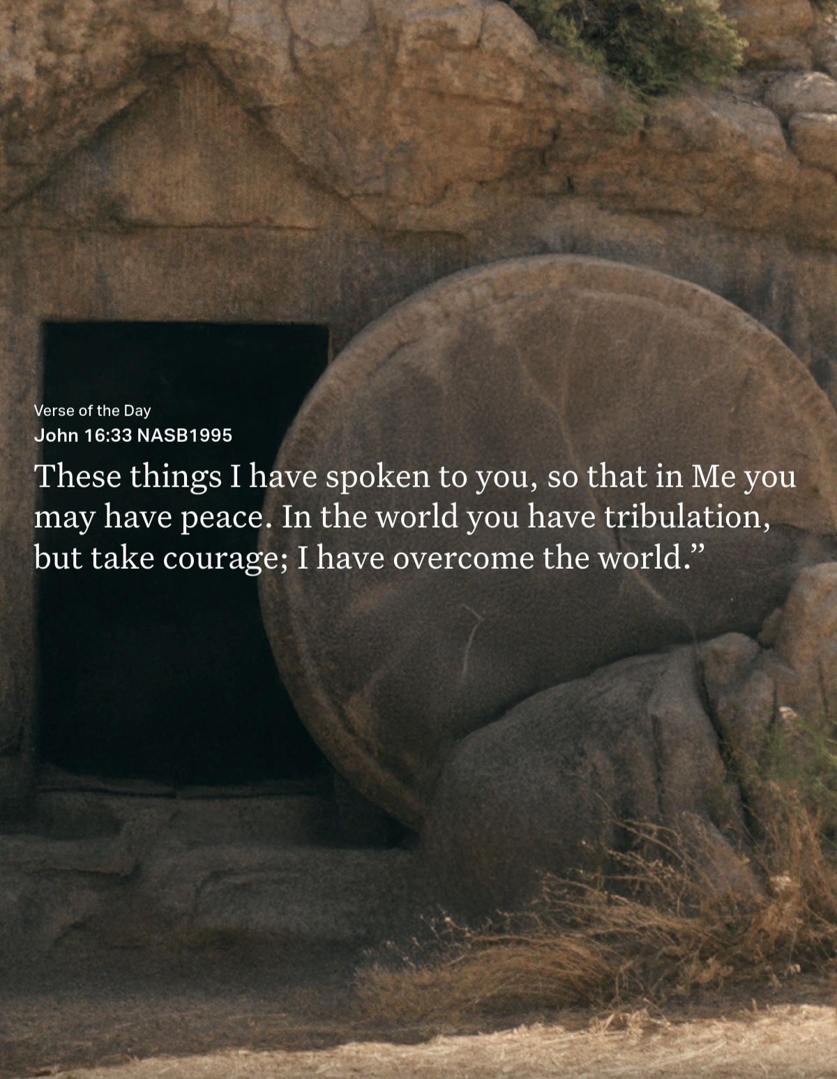 Screenshot_20250420_080252_Bible.jpg