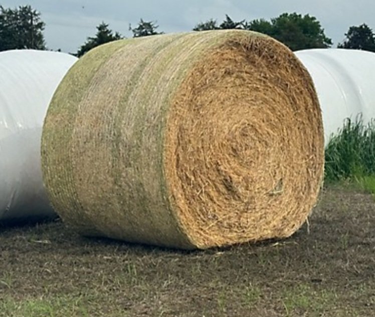 Screenshot_20251229_102417_Samsung Internet.jpg