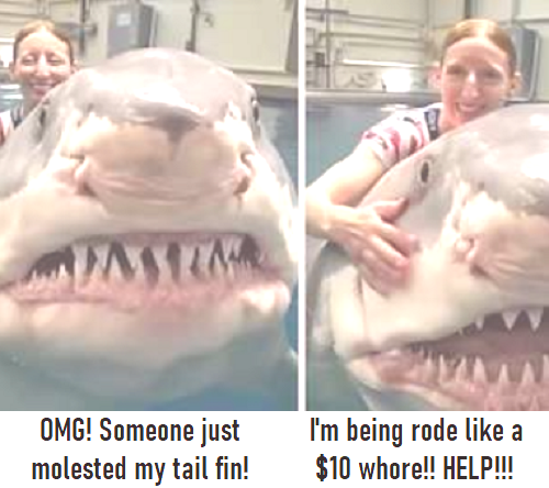 Shark M0lester.png