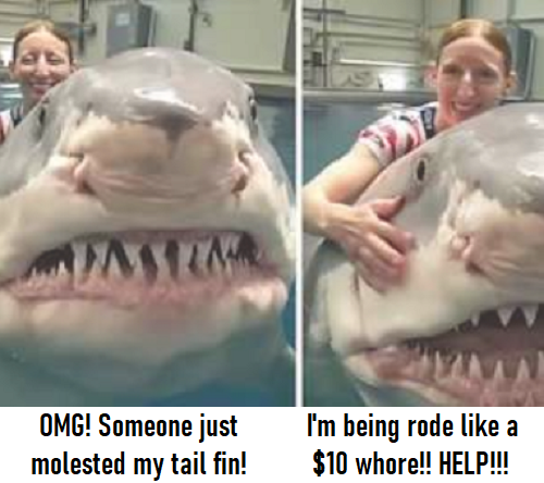 Shark M0lester.png