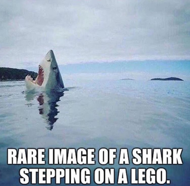Shark Stepped On a Lego.png