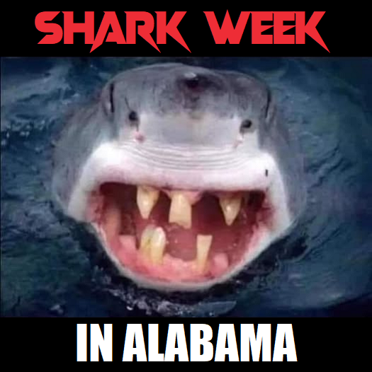 SHARK WEEK - in Alabama.png