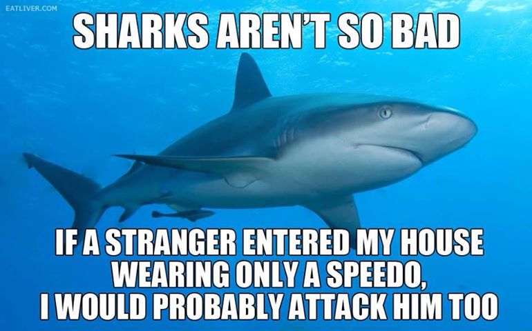 sharks arent bad.jpg