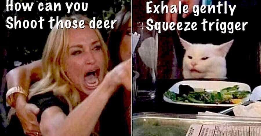 shoot deer.jpg
