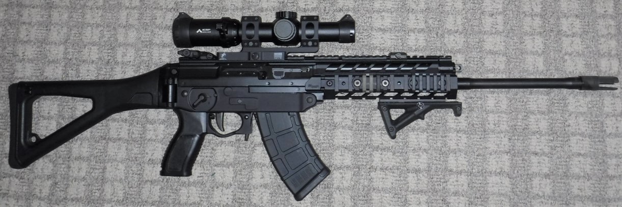 Sig 556Xi (R).jpg