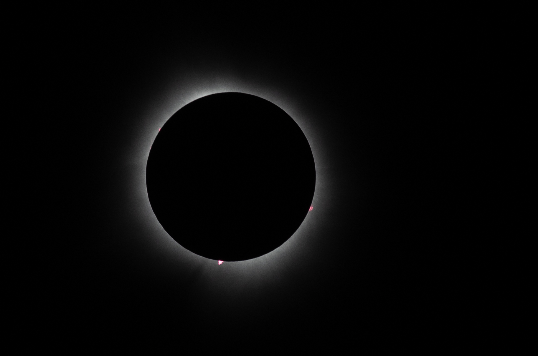 SJH_3181.jpg