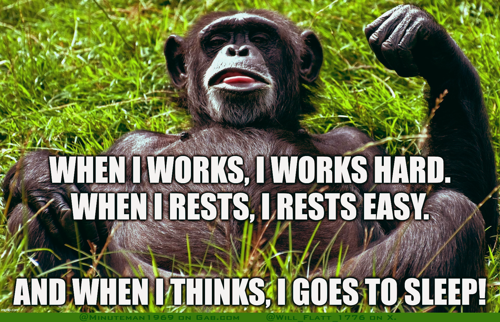 Sleeping Monkey.png