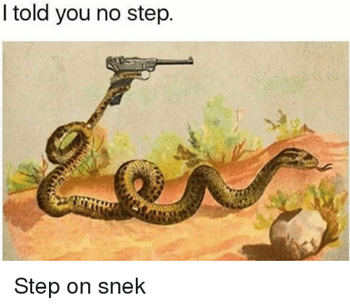 snek-9.png