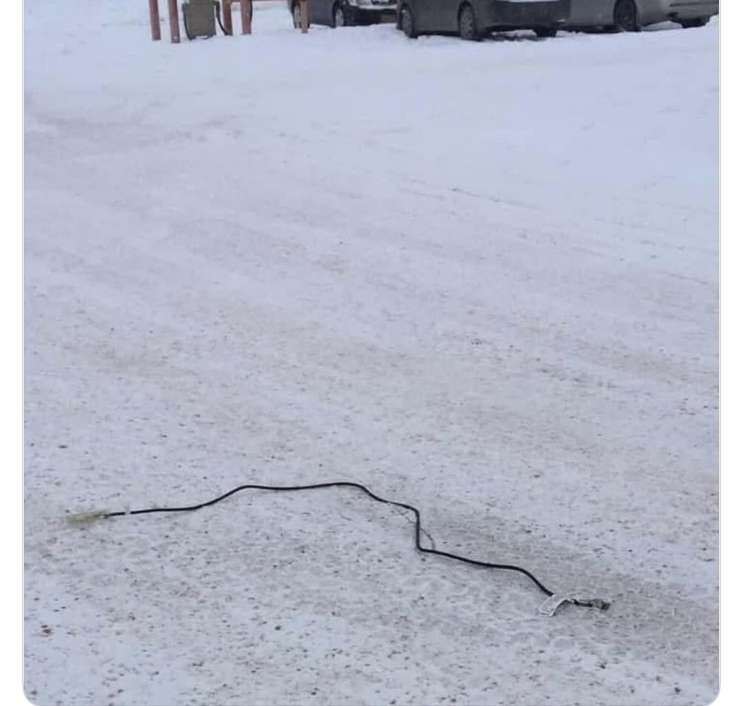 Snow Snake.jpeg