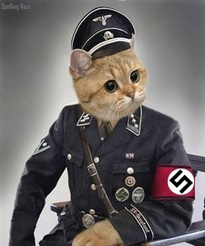 Spelling Nazi cat.png