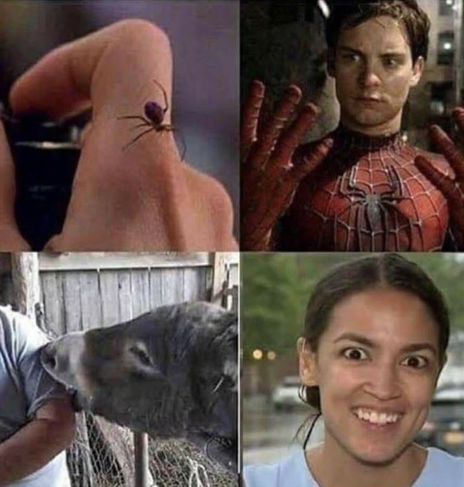 Spiderman - AOC.JPG