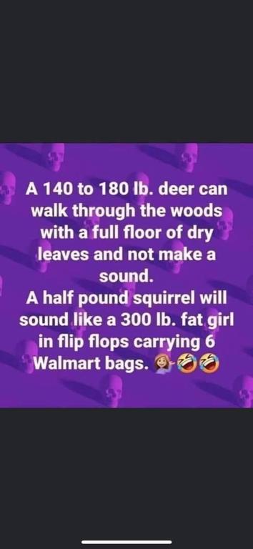 squirrel.jpgblue.jpg