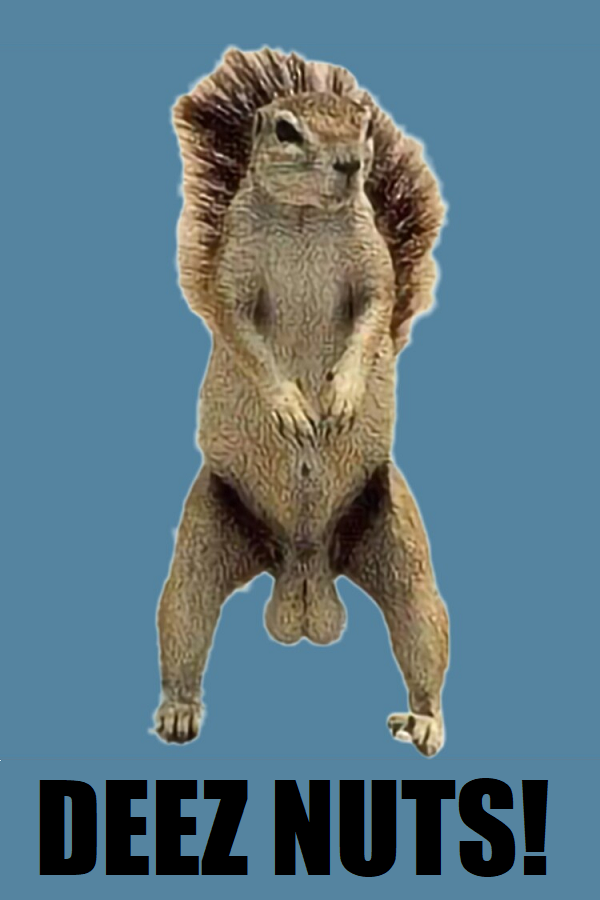 Standing Squirrel DEEZ NUTS.png