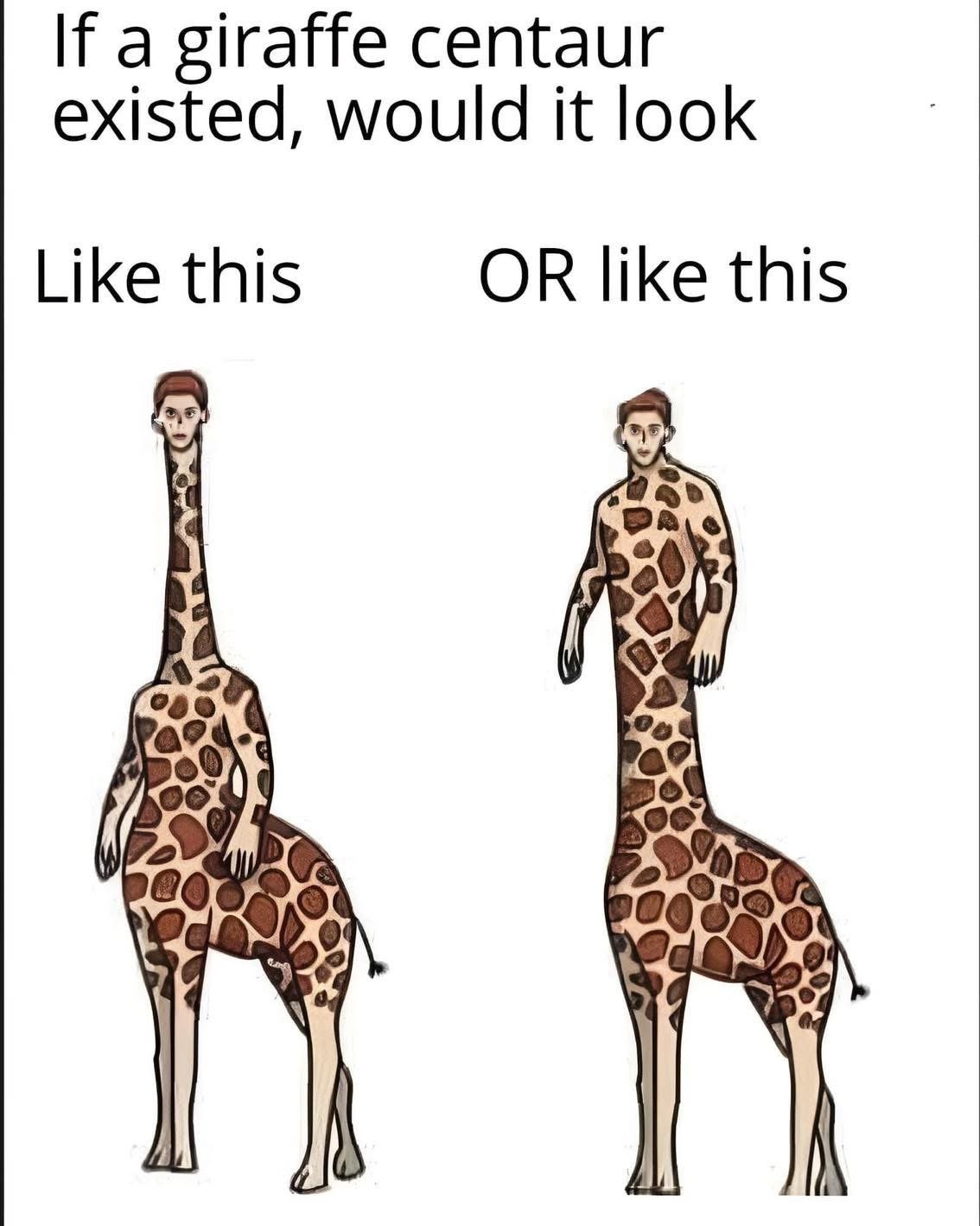 substack-0dd5a8af-4f31-421c-8b3c-0a866239182e.jpeg