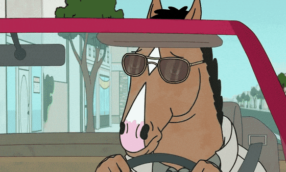 Sunglasses Horse.gif