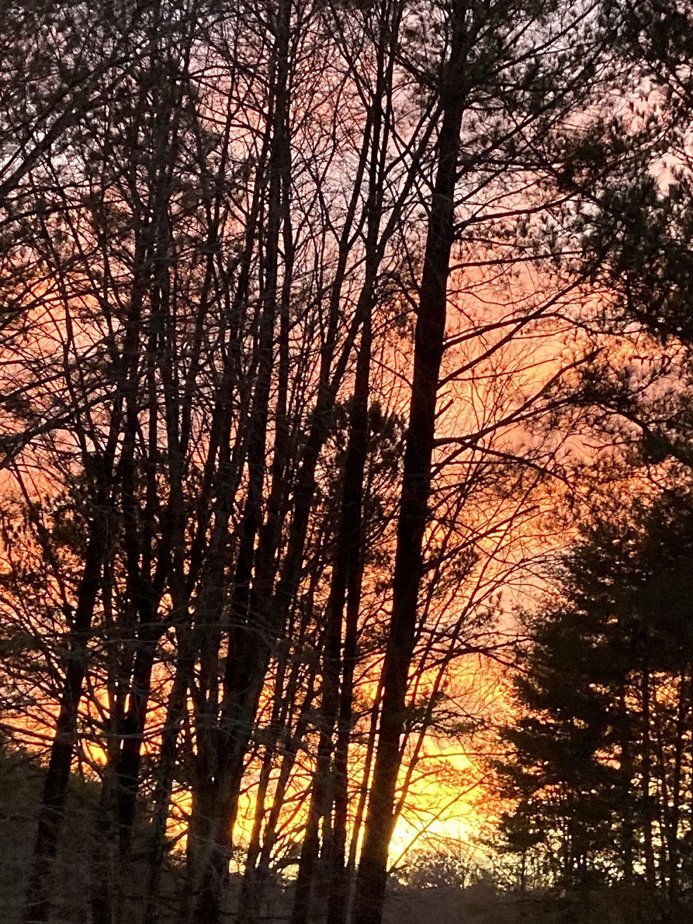 sunset@Debbie's.jpg