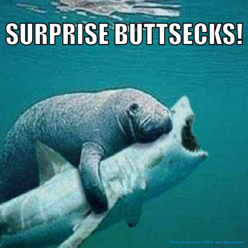 Surprise Buttsecks Manatee on Shark 800px.png