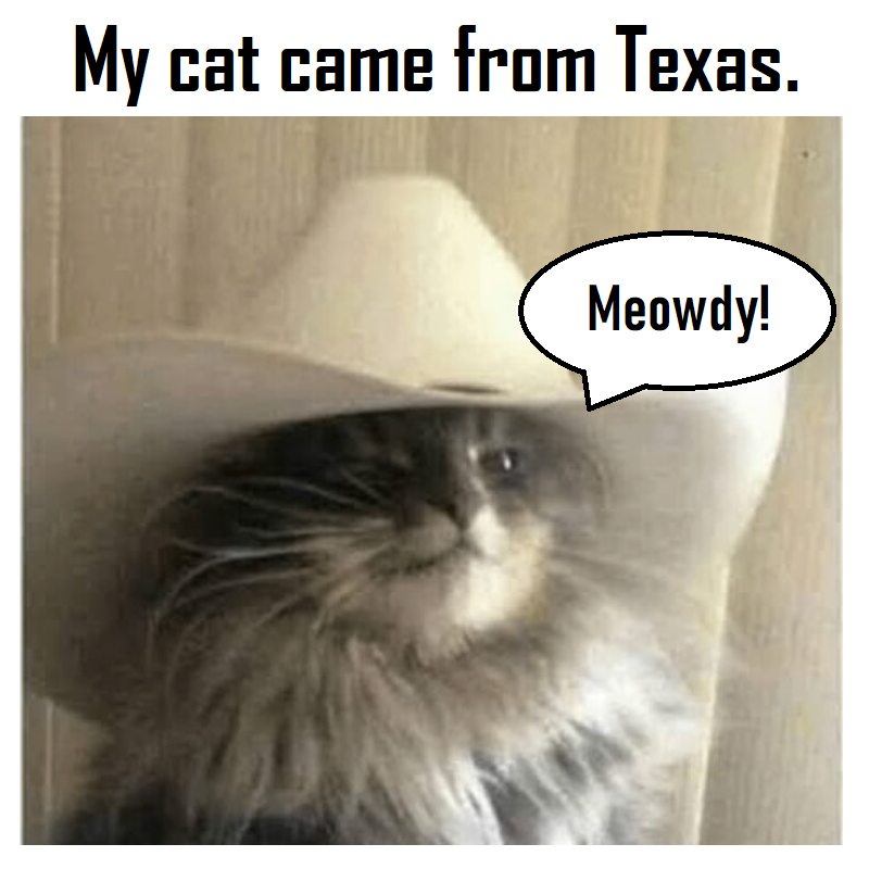 Texas Cat - Meowdy.png