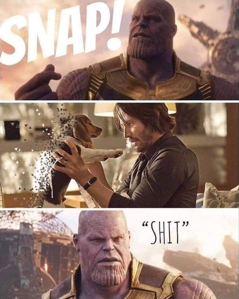 Thanos Accidentally Snaps John Wicks Dog OH ****.png