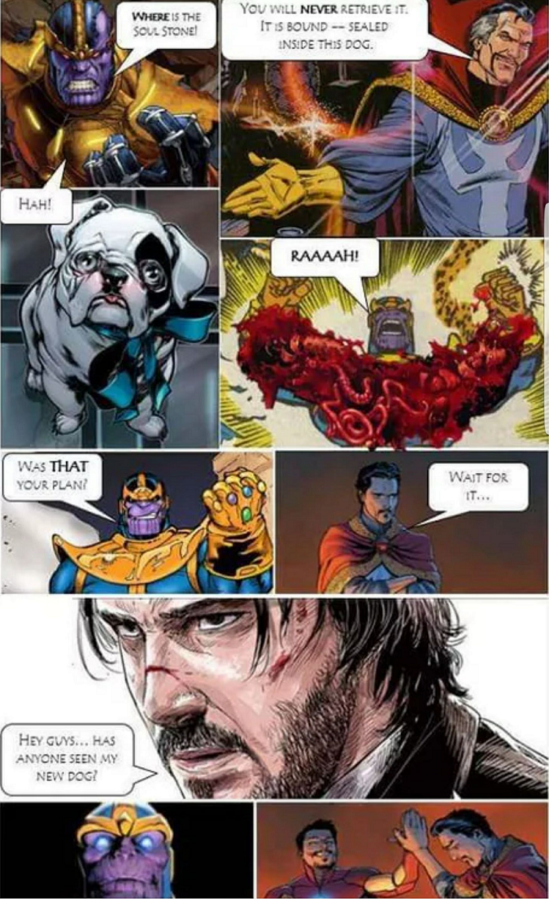 Thanos Shreds Dog Then John Wick.png