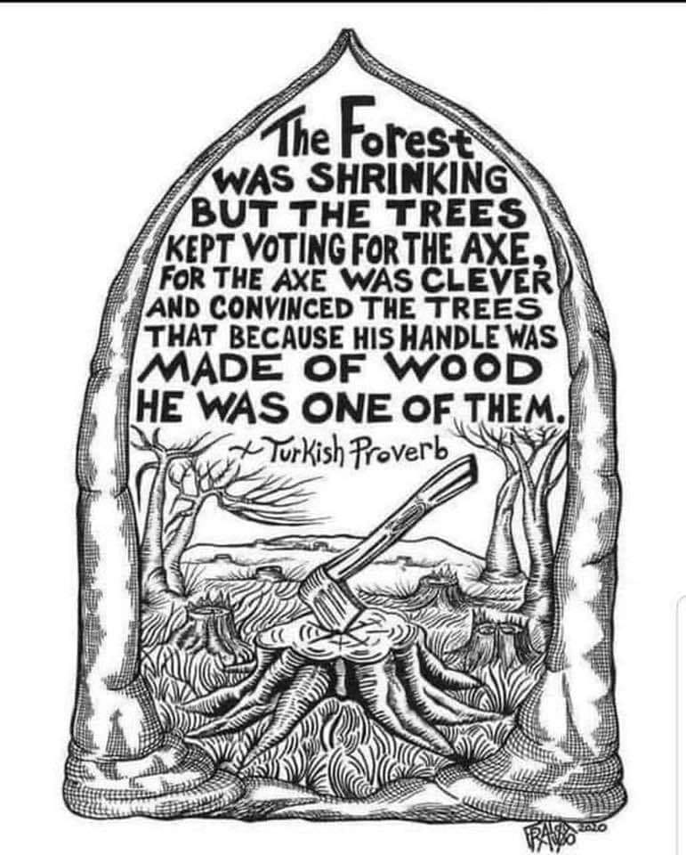 The woods.jpg