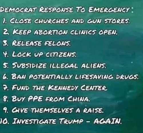 thumbnail_m_1475925549498205612_Dems%20%20%20Emergency.jpg