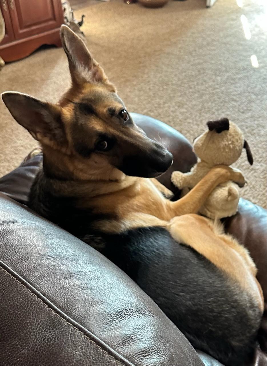 Tika with puppy 1 - 9 Sep 2024.jpg