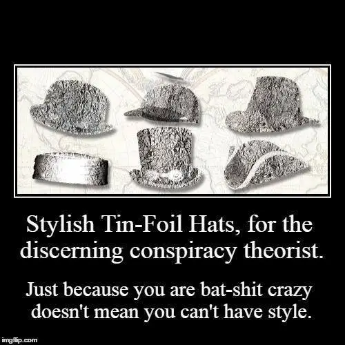 tin-foil hats - with style.jpg sw.webp