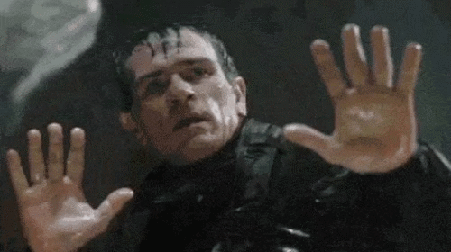 Tommy Lee Jones - I Dont Care - The Fugitive.gif