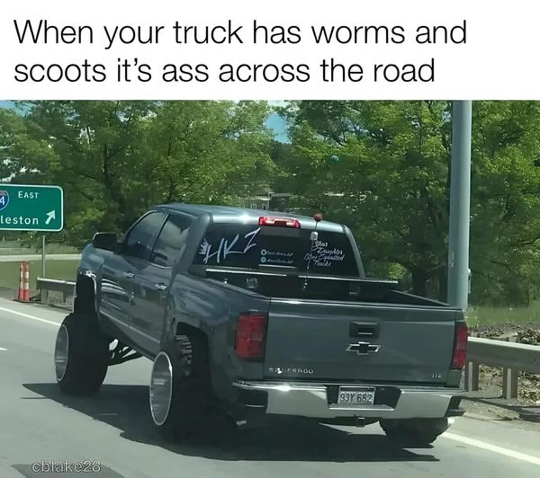 truckworms.jpg