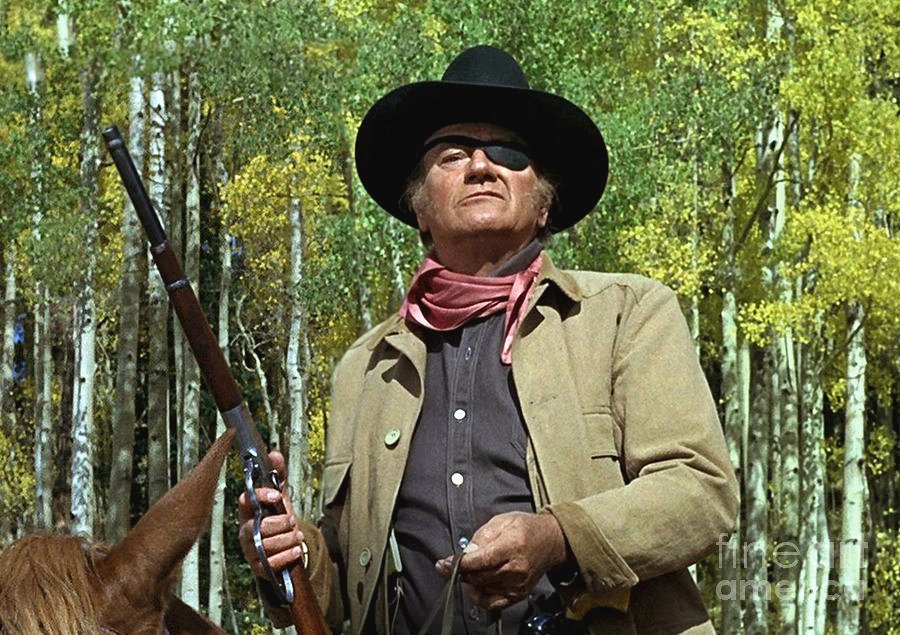 true-grit-rooster-cogburn-jumping-4-rails-john-wayne-well-come-see-a-fat-old-man-some-time-tho...jpg