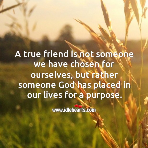 truefriend.jpg
