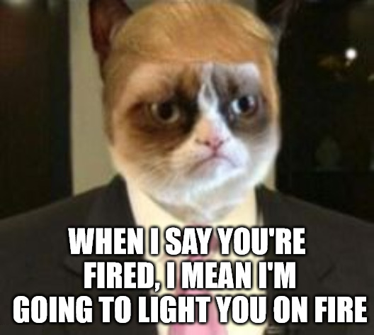 Trumpy Cat - YOU'RE FIRED.png