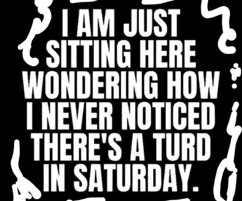 Turd in Saturday.jpg